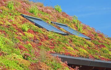 Seasalter living roof systems